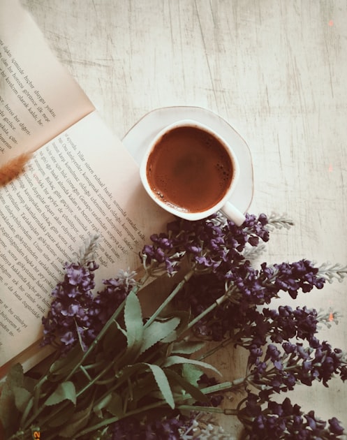 The Allure of Cozy Mysteries
